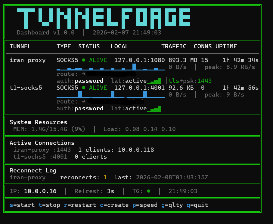 TunnelForge Live Dashboard